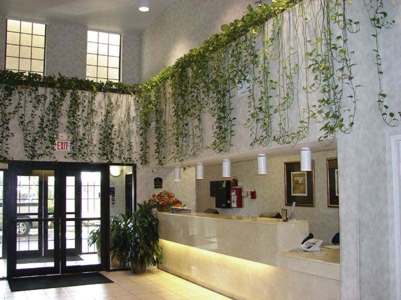 Quality Inn & Suites Airport Austin Luaran gambar